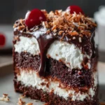 Rich Chocolate Coconut Poke Cake
